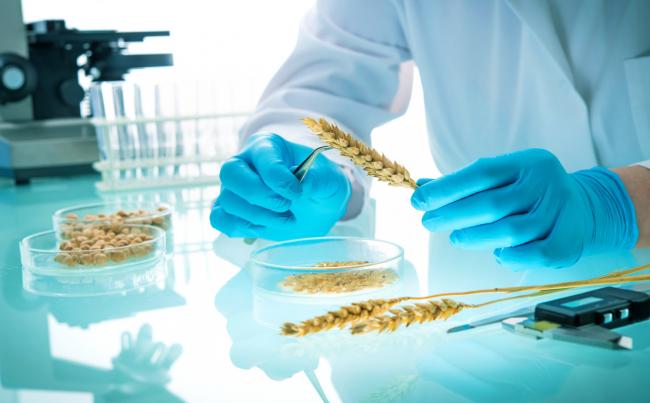PhotoiStock_3WGPost2020GBF_25August2021_photo