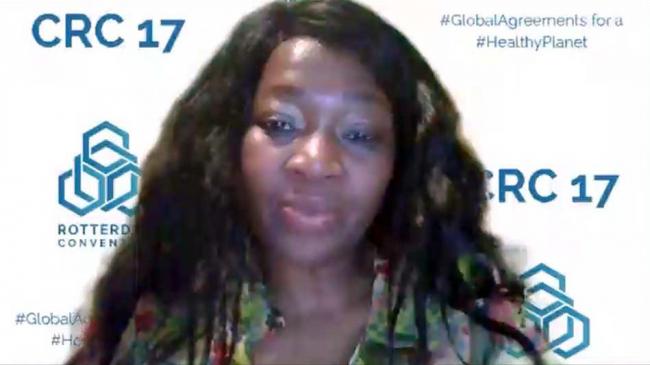 Chemical Review Committee Chair Noluzuko Gwayi, South Africa