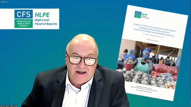 Martin Cole, Chair, CFS High-Level Panel of Experts (HLPE) Steering Committee