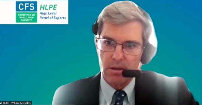 William Moseley, Macalester College, US, and HLPE Steering Committee member