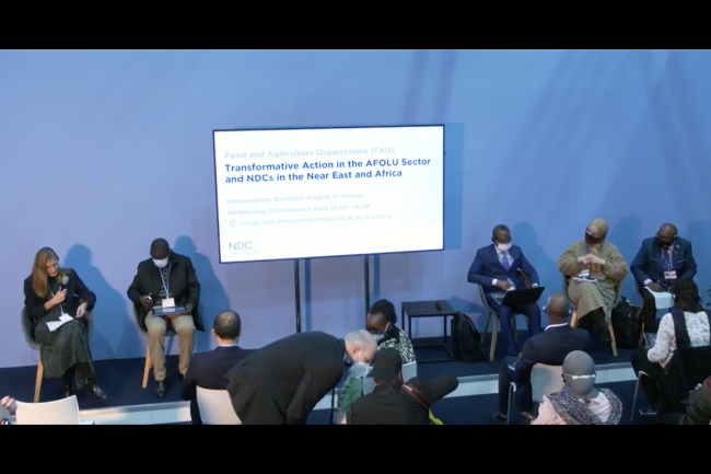 Dais - COP26 FAO Afolu Sector NDCs Near East Africa