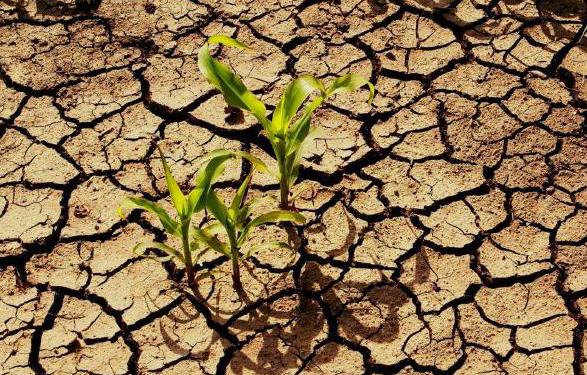 Lead_8thAFRP-UNDRR_18Nov2021_photo.jpg