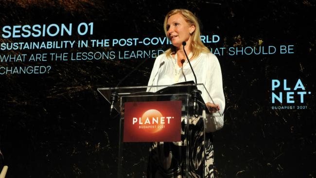 Irena Pichola, Deloitte