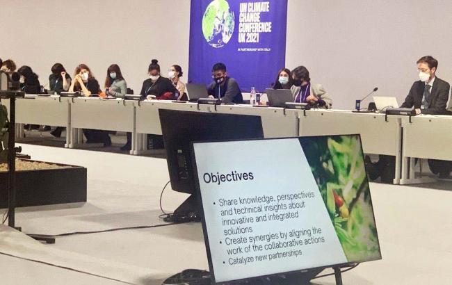 Objectives of the FPF