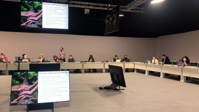 Discussions about the NWP thematic expert groups
