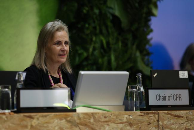 Luísa Fragoso, Chair of the CPR