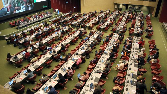 View of the room during the morning plenary