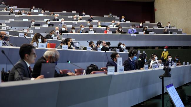 Room view during an afternoon contact group