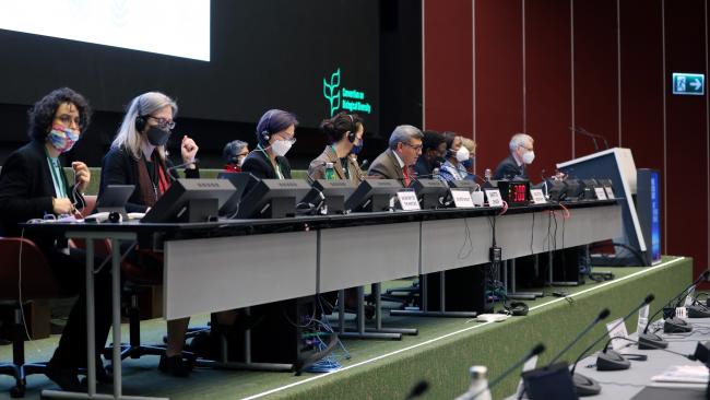 View of the dais