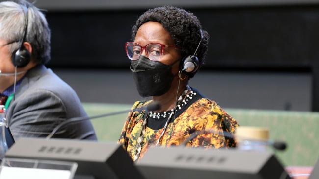 Elizabeth Mrema, CBD Executive Secretary