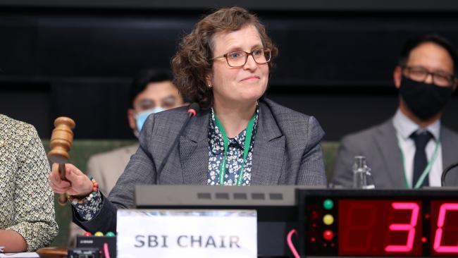 Charlotta Sörqvist, SBI Chair