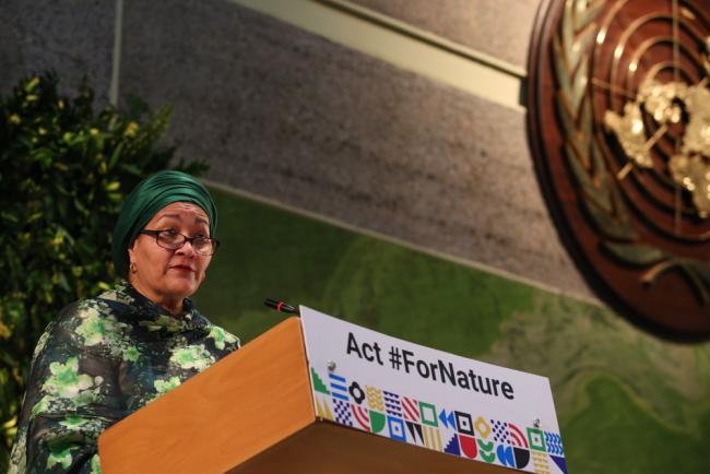 Amina J. Mohammed, Deputy Secretary-General of the UN