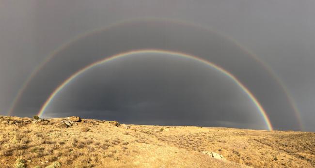 Usyurt plateau, Kazakhstan