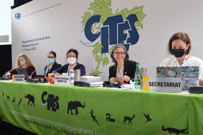 View of the Dais © CITES 