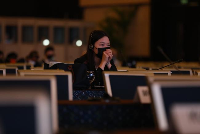 Delegate during a session