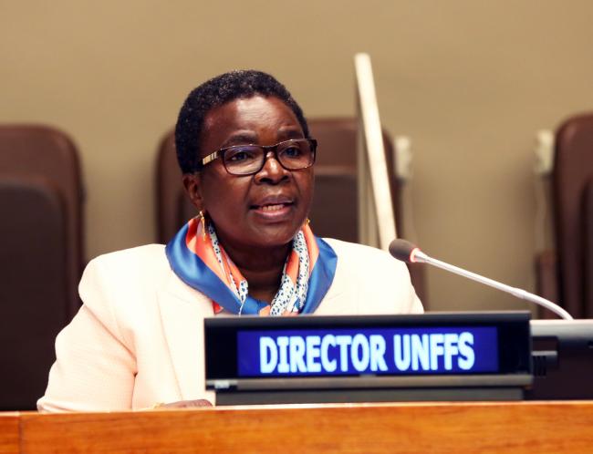 Juliette Biao Koudenoukpo, Director, UNFF