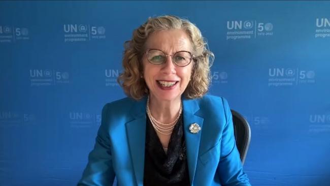 Inger Andersen, Executive Director, UNEP