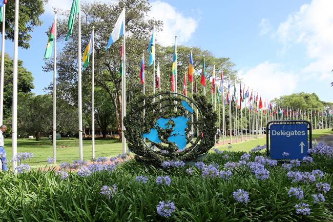 UNEP gardens