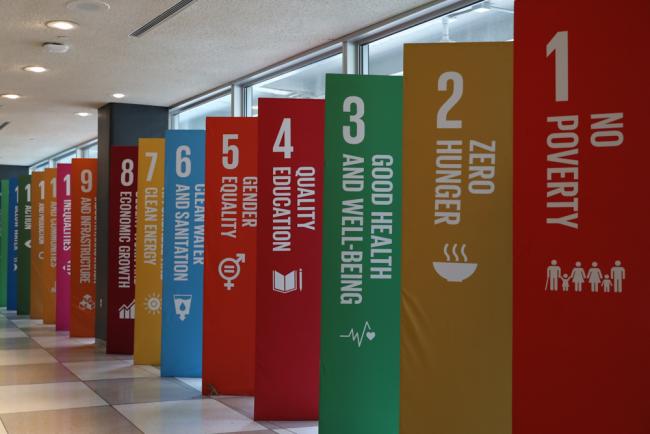 The SDGs
