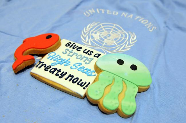 High Seas Alliance cookies
