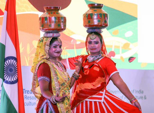 Rajasthan wedding dance