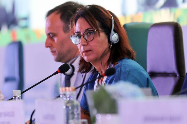 Yasmina El Bahloul, Chairperson, ITPGRFA GB 9