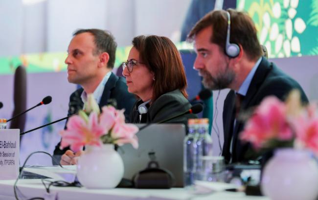 View of the dais during the Plenary Session