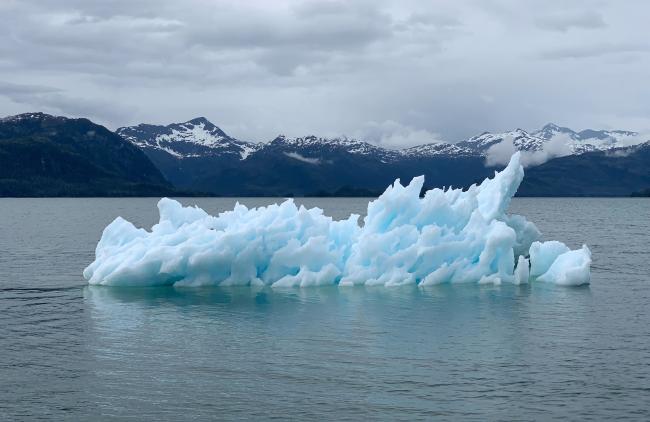 Iceberg