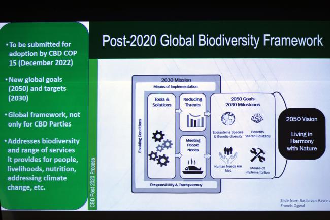 Slide for Post-2020 Global Biodiversity Framework