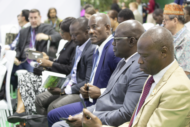 Restoring balance with nature for a sustainable future COP27 Side Event - 15 Nov 2022 - Photo.png