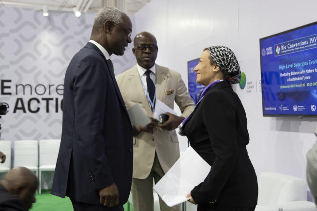  Restoring balance with nature for a sustainable future COP27 Side Event - 15 Nov 2022 - Photo.png