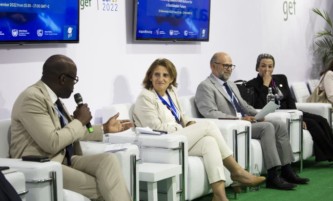 panelist-Alain-Richard Donwahi, President of United Nations Convention to Combat Desertification (UNCCD) COP 15 - Restoring balance with nature for a sustainable future COP27 Side Event - 15 Nov 2022 - Photo.png