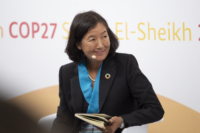 Alue Dohong, Vice Minister of Environment and Forestry, Indonesia
