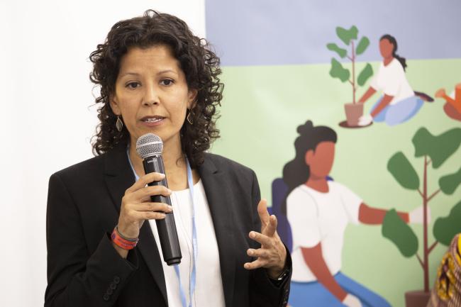 Anne Hammill, NAP Global Network Secretariat, International Institute for Sustainable Development