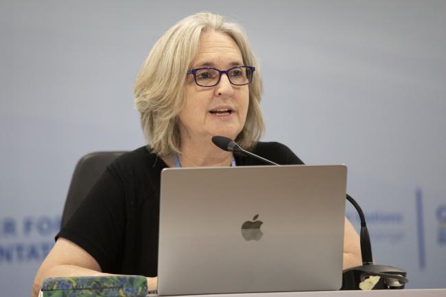 Anne Larson, CIFOR-ICRAF - The Land Gap Report Side Event COP27 - 11 Nov 2022 - Photo