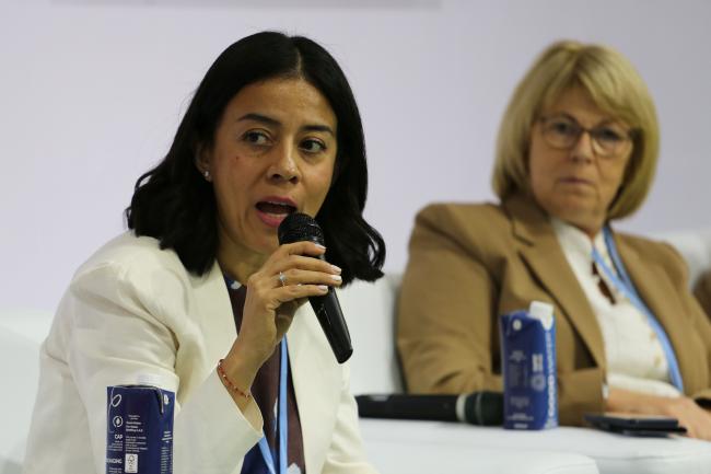 Carolina Fuentes, Green Climate Fund