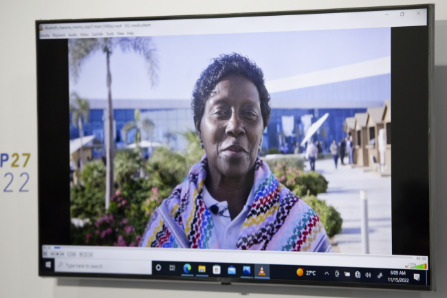 Elizabeth Mrema, Executive Secretary of the Convention on Biological Diversity (CBD)