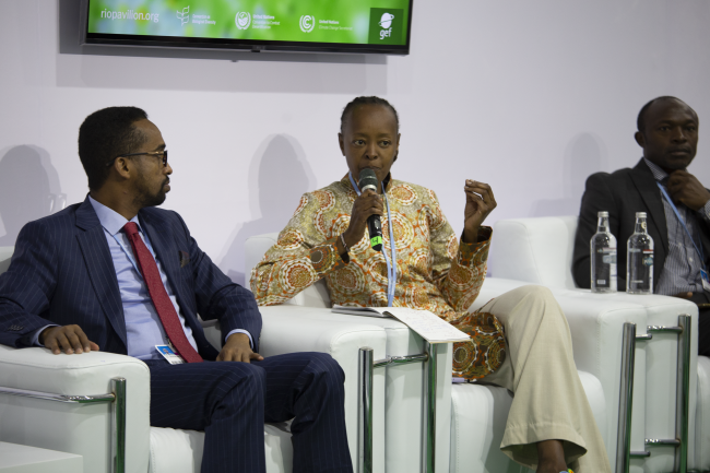 Helen Gichenje, Commonwealth Secretariat