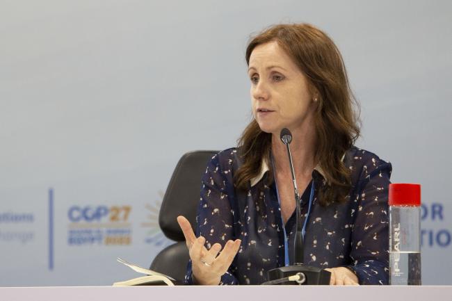 Kate Dooley, University of Melbourne - The Land Gap Report Side Event COP27 - 11 Nov 2022 - Photo