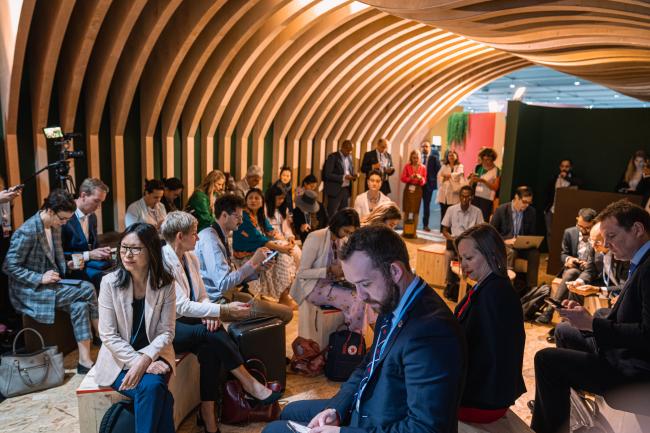 Lead Picture - Resilience Frontiers Lab at COP 27