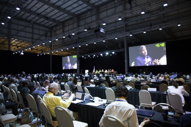 Plenary View
