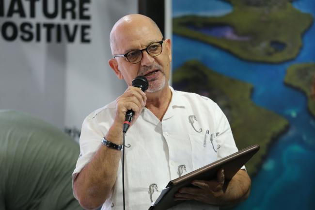 Rémi Parmentier, Director, The Varda Group