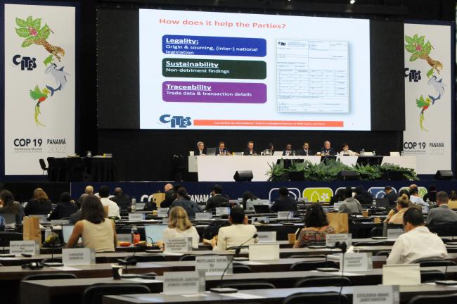 Side event on Digital CITES Permitting