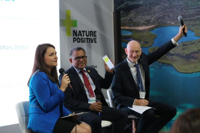 Dais during Ocean Renewable Energy Panel