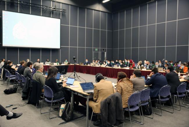 View of the room during a contact group on DSI
