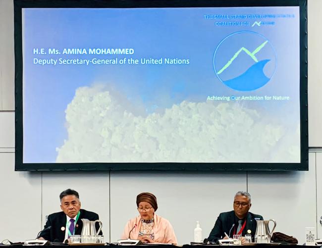 Amina Mohammed, UN Deputy Secretary-General