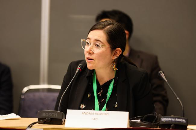 Andrea Romero, FAO_SideEventsCBDCOP15_14Dec2022_Photo.jpg