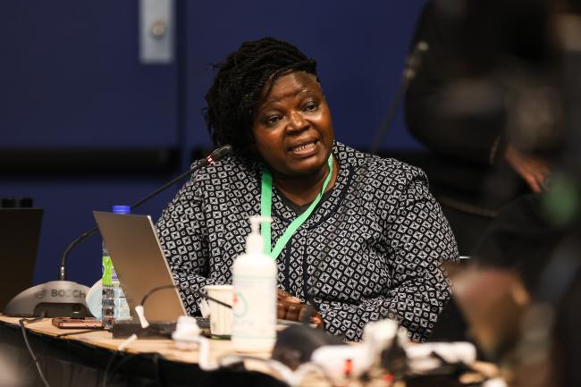Doreen Mnyulwa, Executive Director, Regional Agricultural and Environmental Innovations Network Africa_SideEventsCBDCOP15_13Dec2022_Photo.jpg