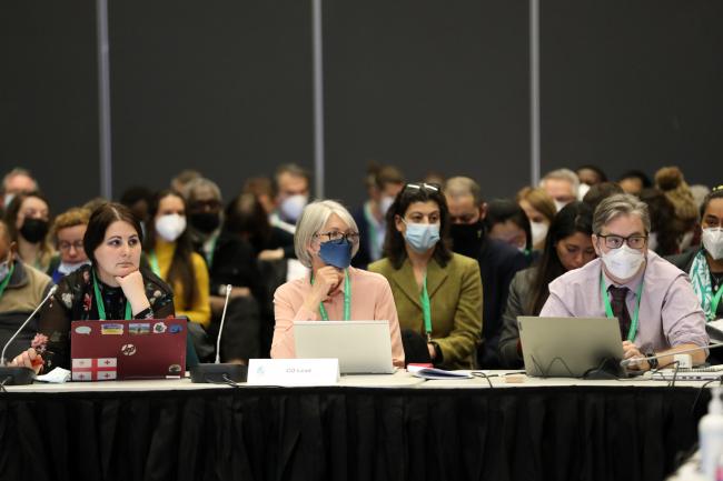 From L-R: Teona Karchava, Georgia; Rosemary Paterson, New Zealand; and Kieran Noonan-Mooney, CBD Secretariat