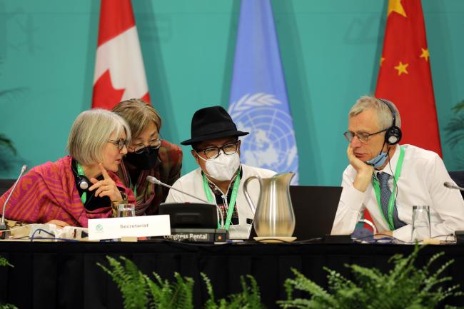 From L-R: WG I Chair Rosemary Paterson, New Zealand; Jihyun Lee, CBD Secretariat; XXX; and David Cooper, CBD Deputy Executive Secretary